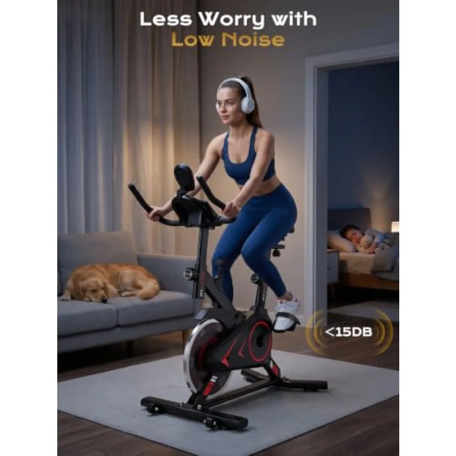 Bicicleta de ejercicio para us - Exercise Bike Magnetic Resistance reseña y precio