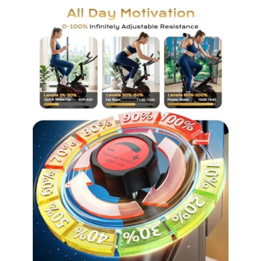Bicicleta de ejercicio para us - Exercise Bike Magnetic Resistance reseña y precio