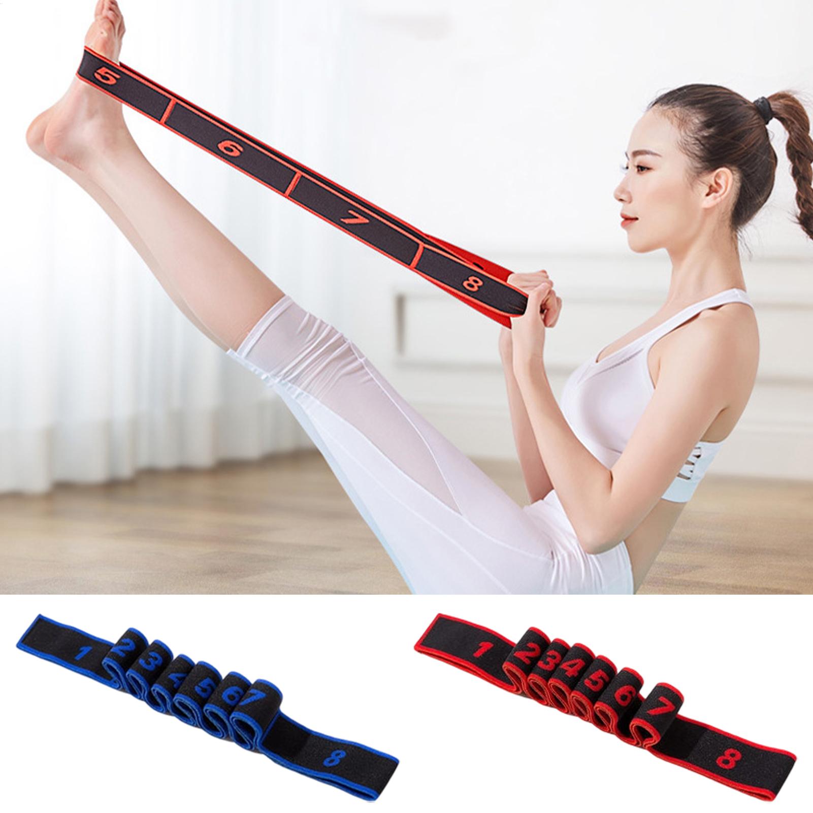 Correa elástica de estiramient - Pilates Bar Kit With Resistance Bands reseña y precio